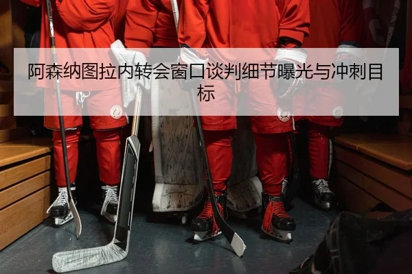 阿森纳图拉内转会窗口谈判细节曝光与冲刺目标
